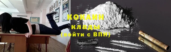 хмурый Алексин