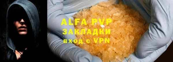 хмурый Алексин